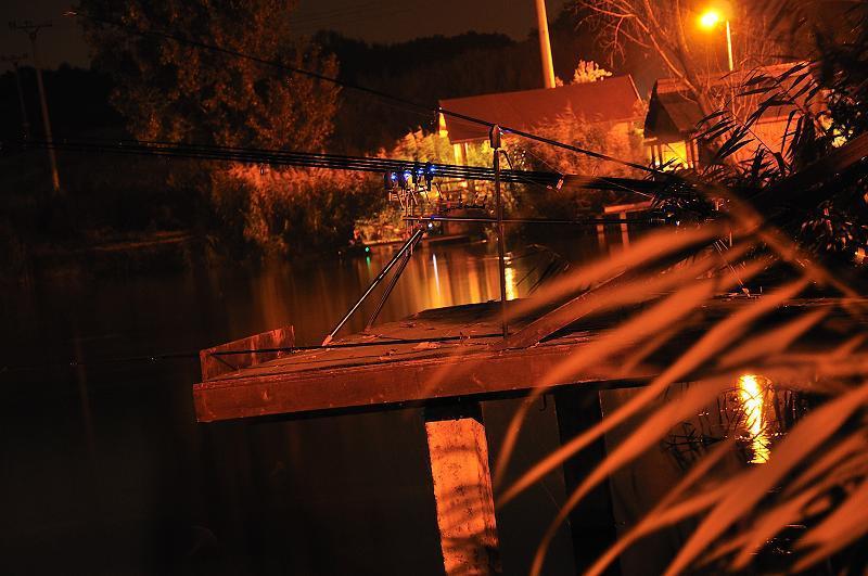 din natura - imagesnews11040600000012abefaf-bb29-4c82-adea-709c9c305dc0.jpg